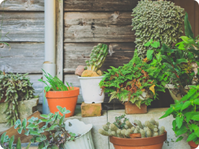 植木鉢、プランター