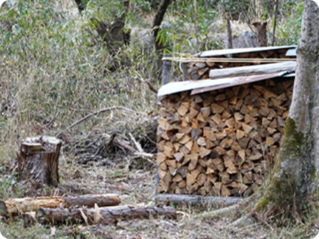 植物、生木、雑草、枝